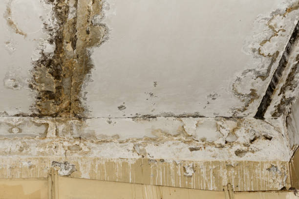 Water damage restoration experts in Rockcreek, OR