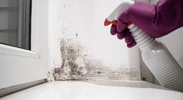 Professional Water damage restoration in Rockcreek, OR